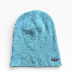 Sage light green Beanie